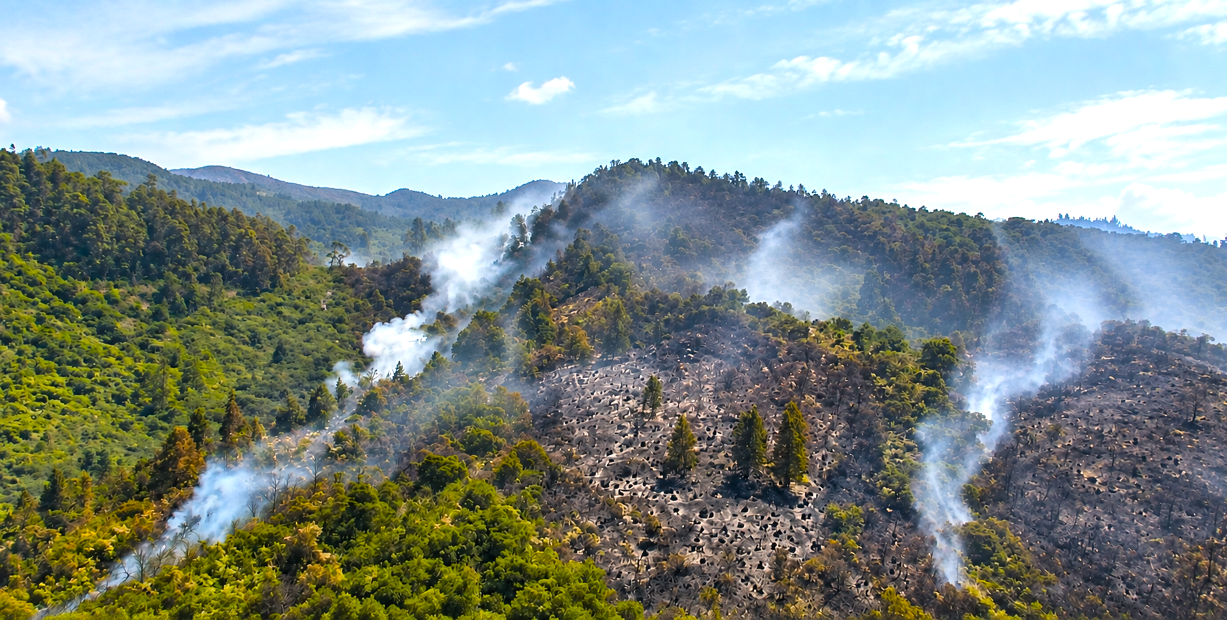 Cundinamarca supera los 841 incendios forestales en 2026: 85 municipios han resultado afectados 3 Cundinamarca supera los 841 incendios forestales en 2026: 85 municipios han resultado afectados 1