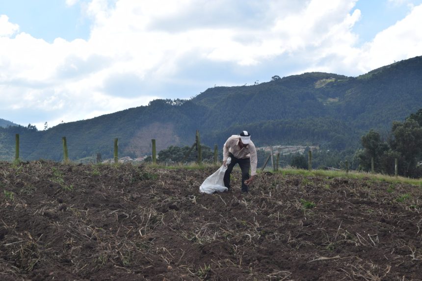 Zipaquirá prepara su política rural para los próximos diez años: el campo y el páramo, en una sola hoja de ruta