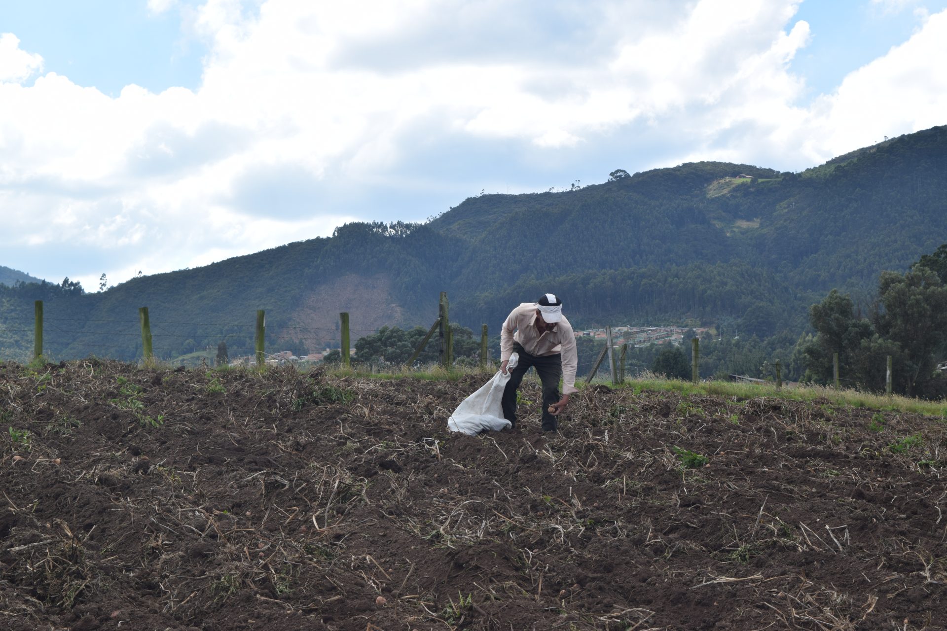 Zipaquirá prepara su política rural para los próximos diez años: el campo y el páramo, en una sola hoja de ruta 12
