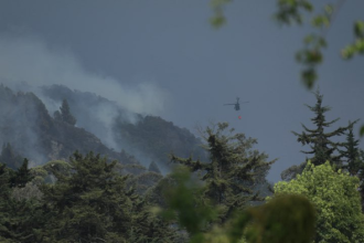 Incendios en Cundinamarca dejan una amenaza bajo las cenizas: el suelo podría tardar décadas en recuperarse 14