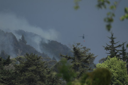 Incendios en Cundinamarca dejan una amenaza bajo las cenizas: el suelo podría tardar décadas en recuperarse 21