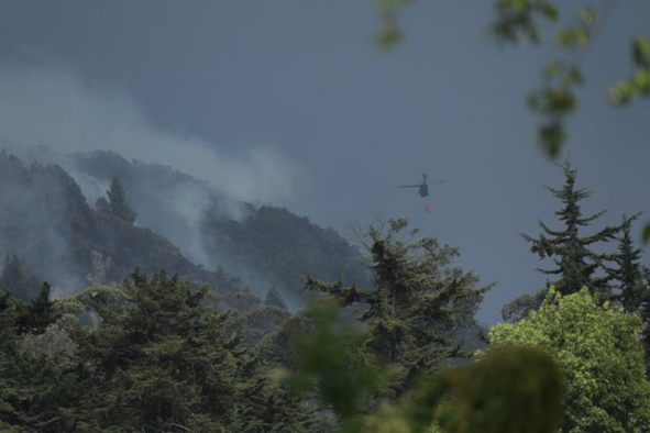 Incendios en Cundinamarca dejan una amenaza bajo las cenizas: el suelo podría tardar décadas en recuperarse 1 Incendios en Cundinamarca dejan una amenaza bajo las cenizas: el suelo podría tardar décadas en recuperarse