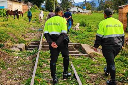 Nemocón refuerza controles de bienestar animal: autoridades verificaron 11 perros y ocho equinos 4