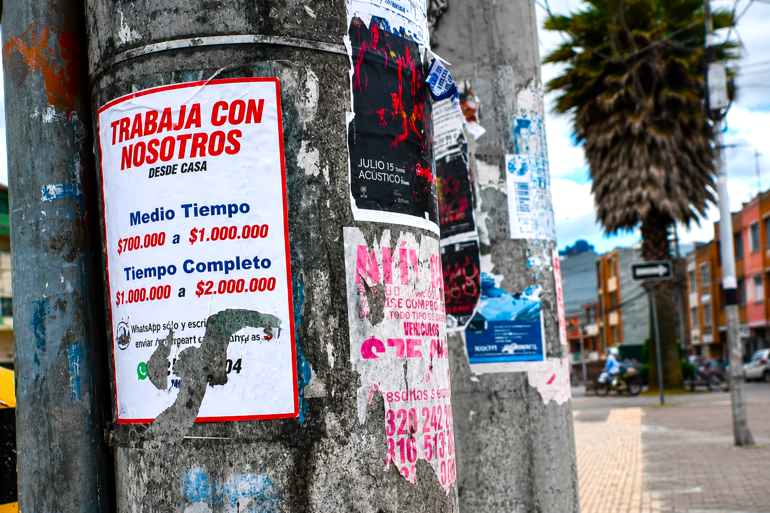 Publicidad instalada en postes y otras infraestructuras de Zipaquirá genera costos y deteriora la imagen urbana 7