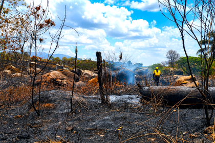 Tres incendios forestales permanecen activos en Cundinamarca; emergencia en Viotá volvió a reactivarse 2