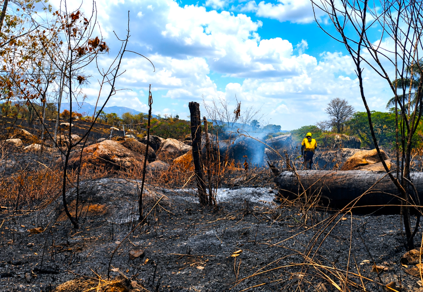 Tres incendios forestales permanecen activos en Cundinamarca; emergencia en Viotá volvió a reactivarse