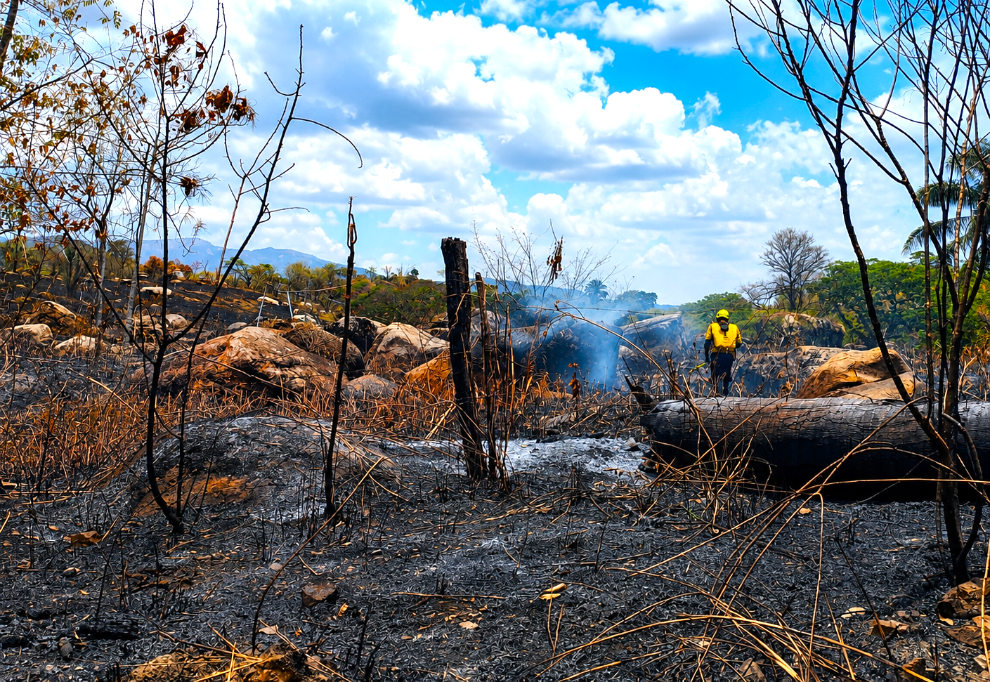 Tres incendios forestales permanecen activos en Cundinamarca; emergencia en Viotá volvió a reactivarse 11