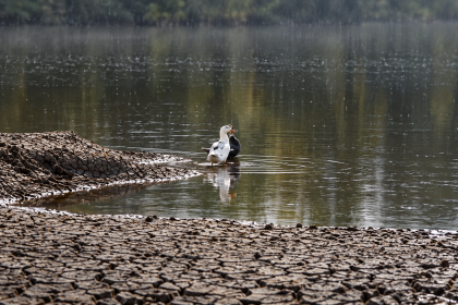 Volvió la lluvia a Facatativá, pero el agua aún no alcanza: embalses siguen bajo presión 3 Volvió la lluvia a Facatativá, pero el agua aún no alcanza: embalses siguen bajo presión 2