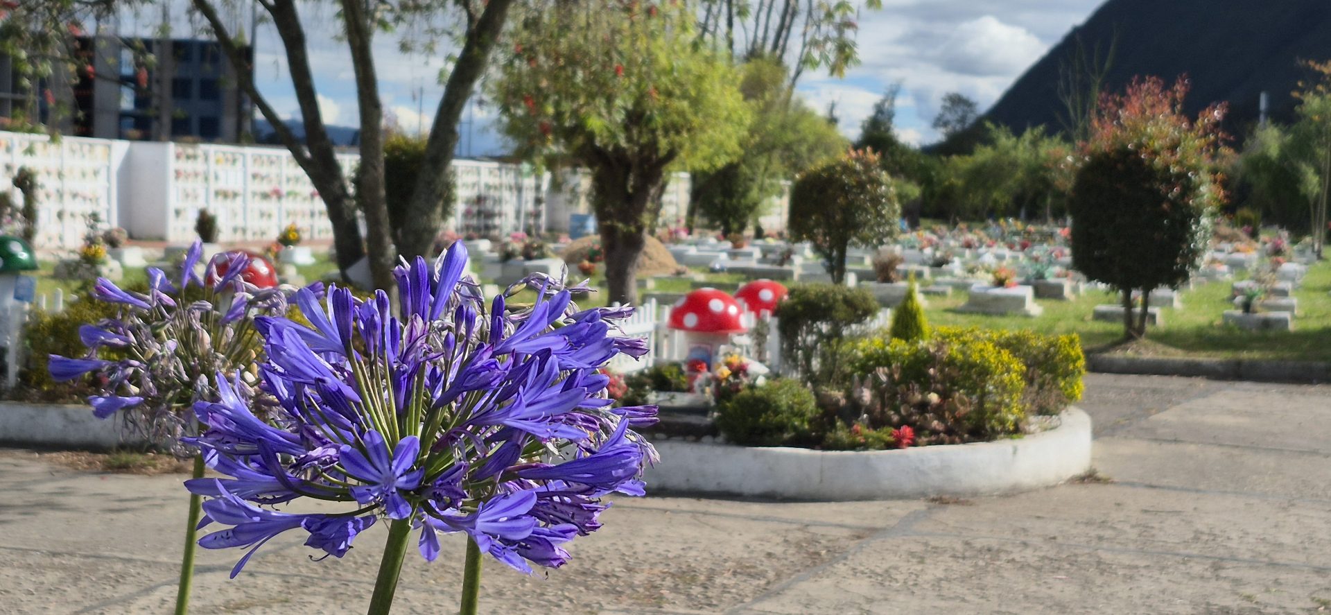 Familias de Sabana Centro pueden adquirir un plan de previsión exequial con atención de principio a fin dentro de la región 11