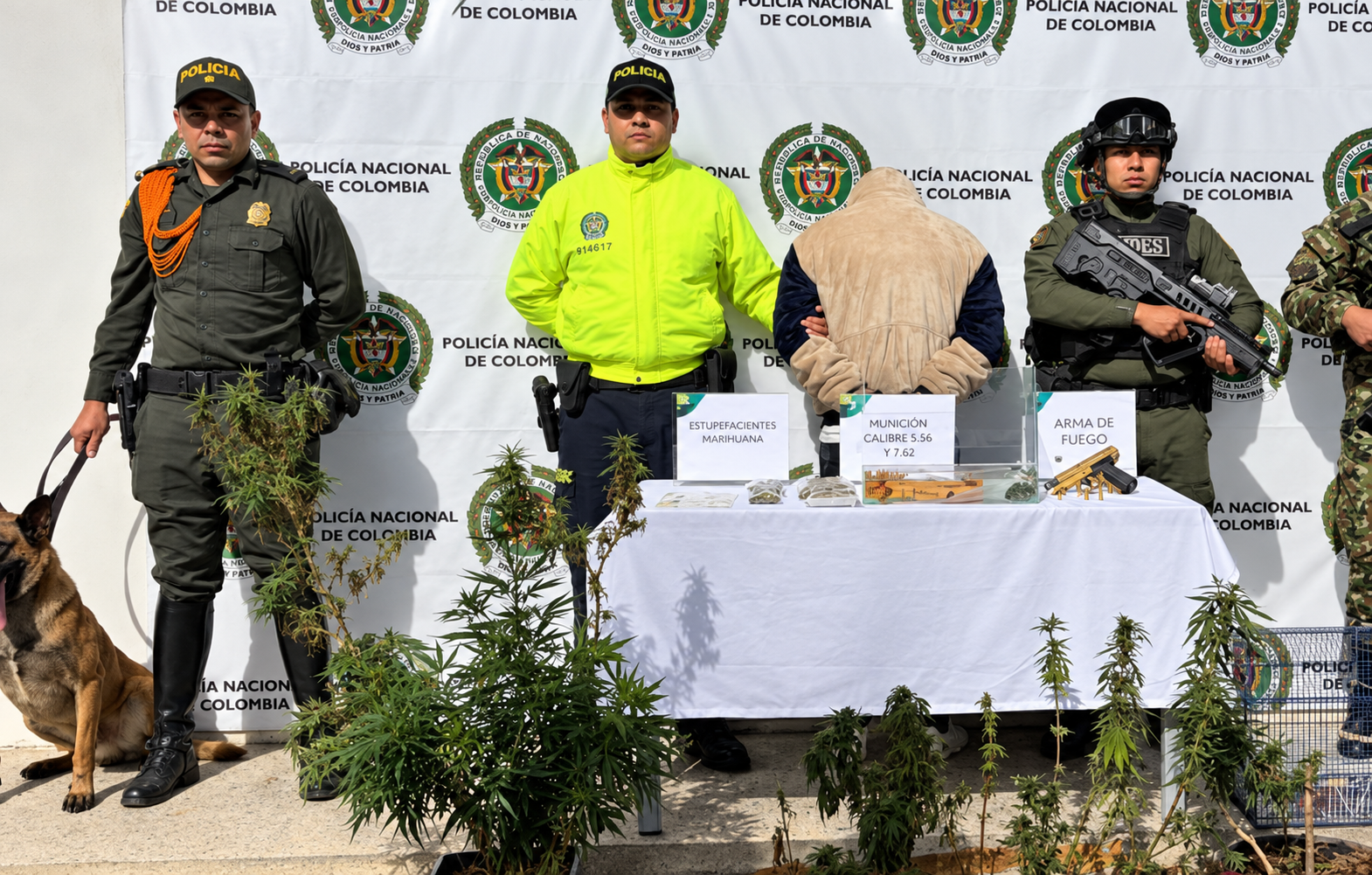 Cárcel para presunto responsable de almacenar estupefacientes y mantener fauna silvestre en una vivienda rural de Zipaquirá 10