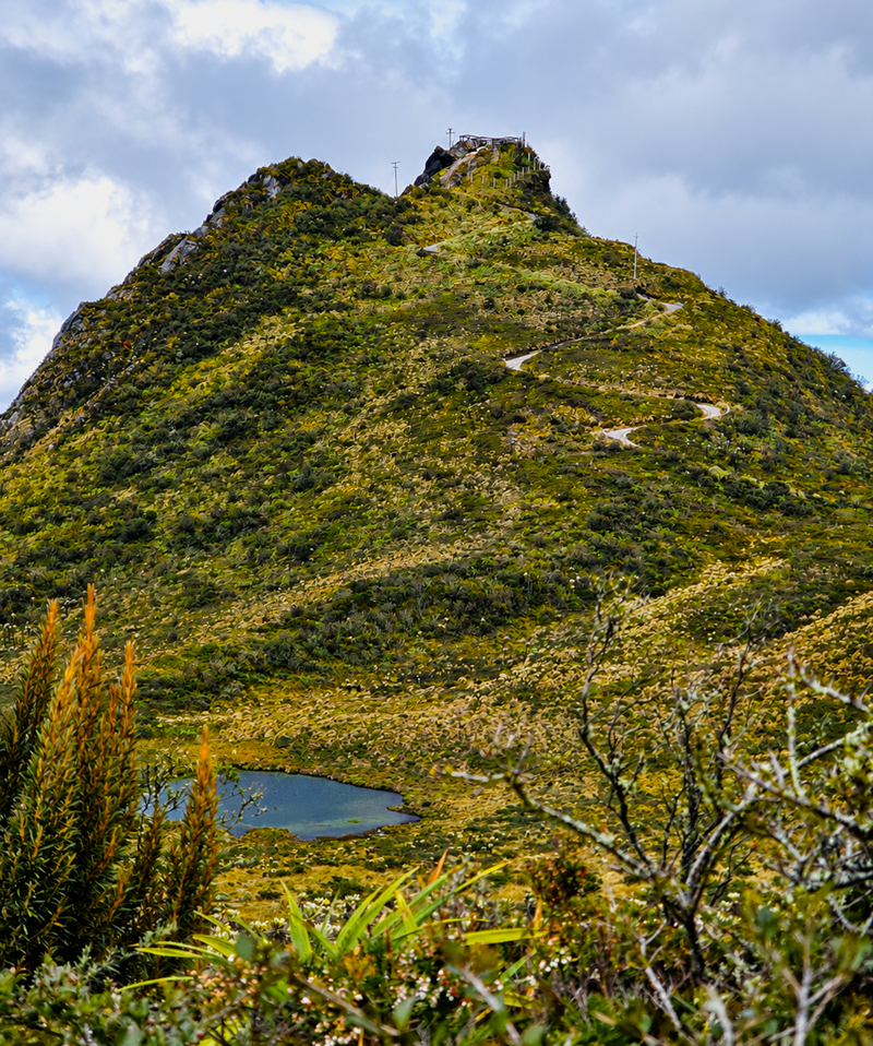 Bogotá y Cundinamarca tendrán cerca de $244.000 millones para proteger sus fuentes de agua 1