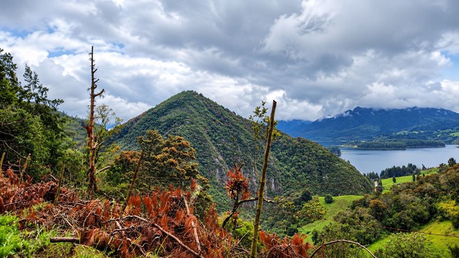 Bogotá y Cundinamarca tendrán cerca de $244.000 millones para proteger sus fuentes de agua 2